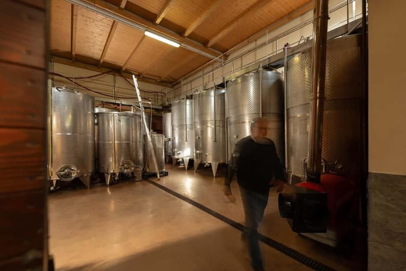 Dogliani: Tasting of 7 Wines in the Heart of the Langhe - Accessibility and Practical Information