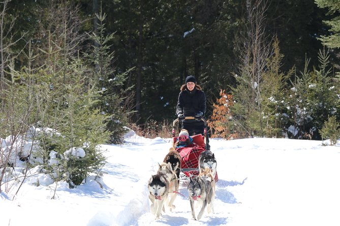 Dogsled Adventure in Mont-Tremblant - The Food and Refreshments at the End