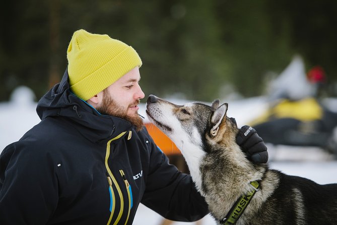 Dogsled Adventure Kiruna - The Food, Fika, and Rest Breaks