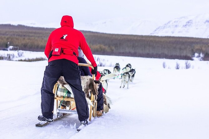 Dogsledding, near Akureyri - Convenient Meeting Point and Optional Transfers