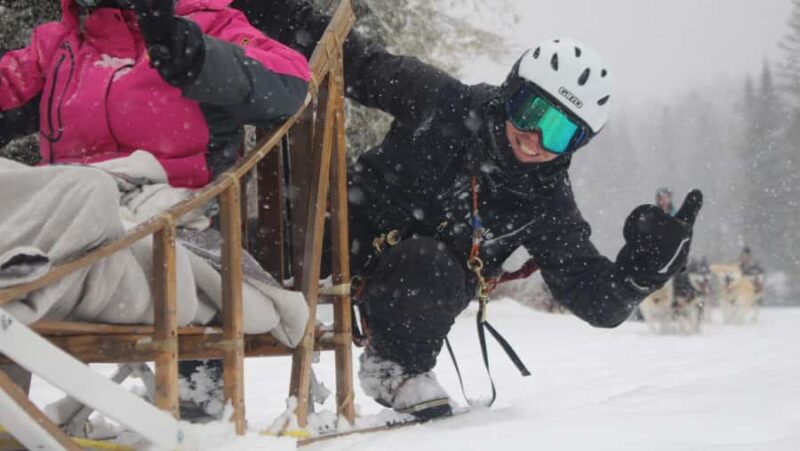 Dogsledding Nordic Adventure near Mont-Tremblant - Key Points