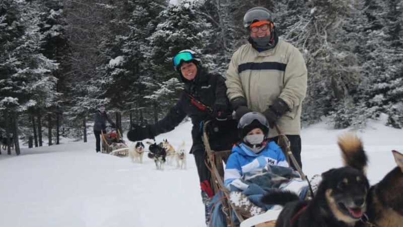 Dogsledding Nordic Adventure near Mont-Tremblant - What the Dogsledding Experience Entails