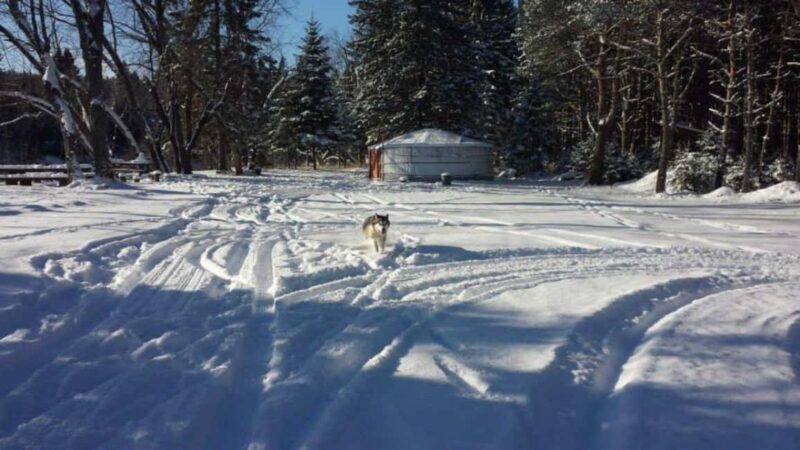 Dogsledding Nordic Adventure near Mont-Tremblant - The Physical and Technical Aspects for Beginners