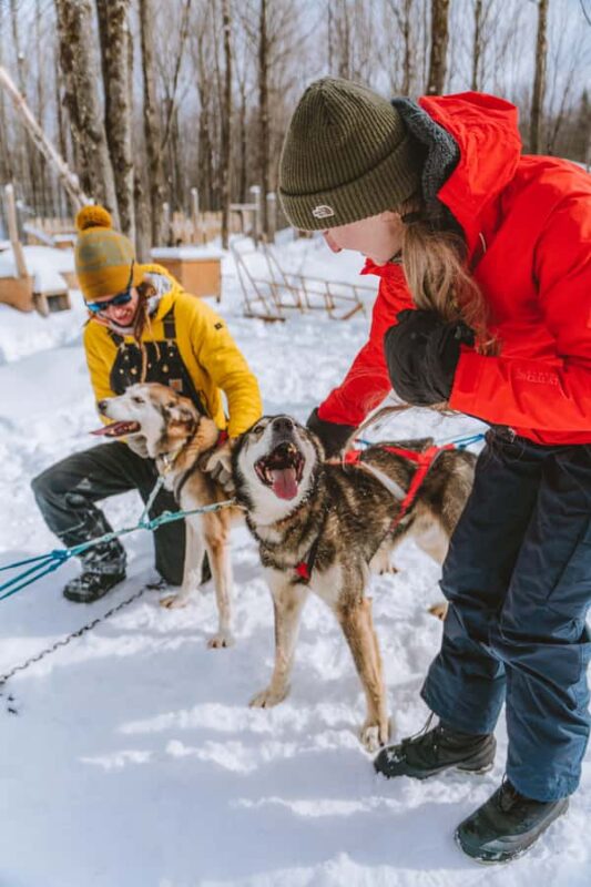 Dogsledding Upper Laurentians near Mont-Tremblant - Discover the Charm of Dogsledding in the Upper Laurentians