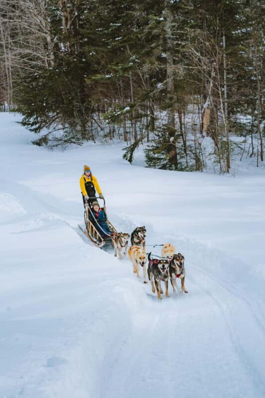 Dogsledding Upper Laurentians near Mont-Tremblant - Authentic Dogsledding Experience with Flexible Trails