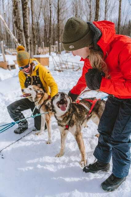 Dogsledding Upper Laurentians near Mont-Tremblant - Essential Gear and Preparation