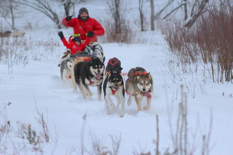 Dogsledding Valley Adventure near Mont-Tremblant - Dogsledding Valley Adventure near Mont-Tremblant: An Authentic Winter Experience