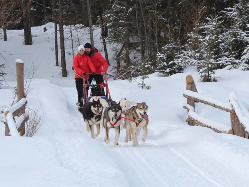 Dogsledding Valley Adventure near Mont-Tremblant - Learning How to Drive the Dog Sleds