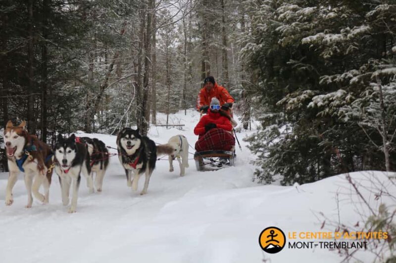 Dogsledding Valley Adventure near Mont-Tremblant - Midway Fire Break and Hot Chocolate