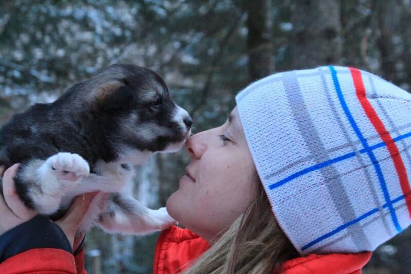 Dogsledding Valley Adventure near Mont-Tremblant - Visiting the Kennel and Meeting Puppies