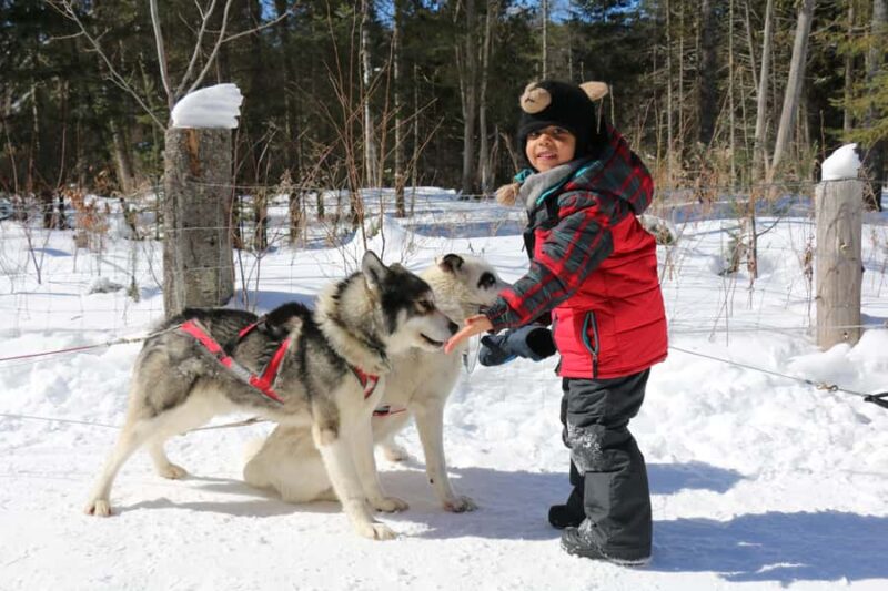 Dogsledding Valley Adventure near Mont-Tremblant - Warm Finish with Soups and Fireplace Comfort