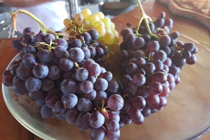 DOLCEACQUA & THE NERVIA VALLEY - The home of Rossese wine and Monet's beloved bridge - Strolling Through Dolceaqua’s Medieval Streets
