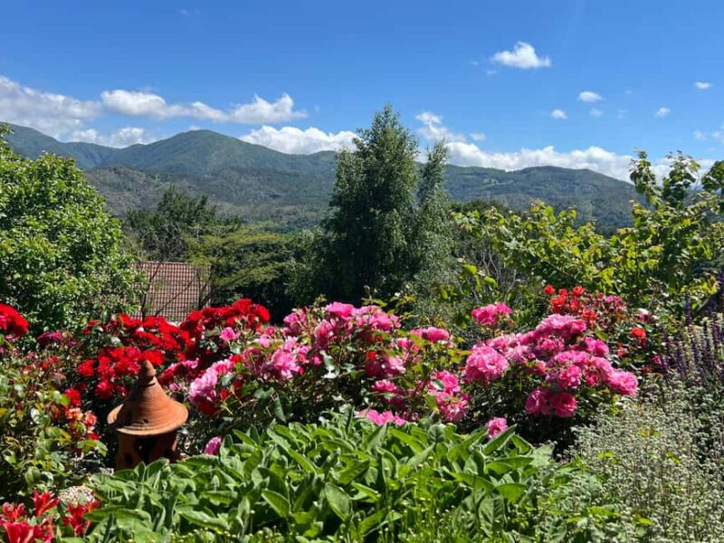 Dolci Mani, Dolci Marmellate in Valle Gargassa in Rossiglione (GE) - Key Points