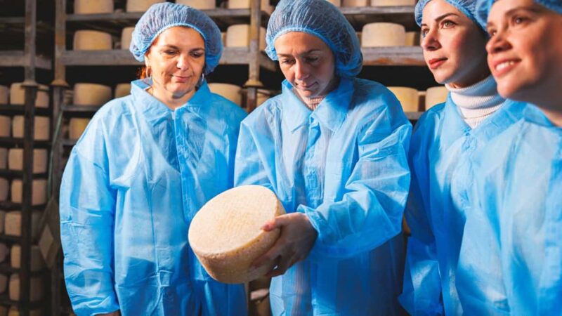 Dolianova: visit and workshop in a cheese factory - Suitability and Accessibility Considerations