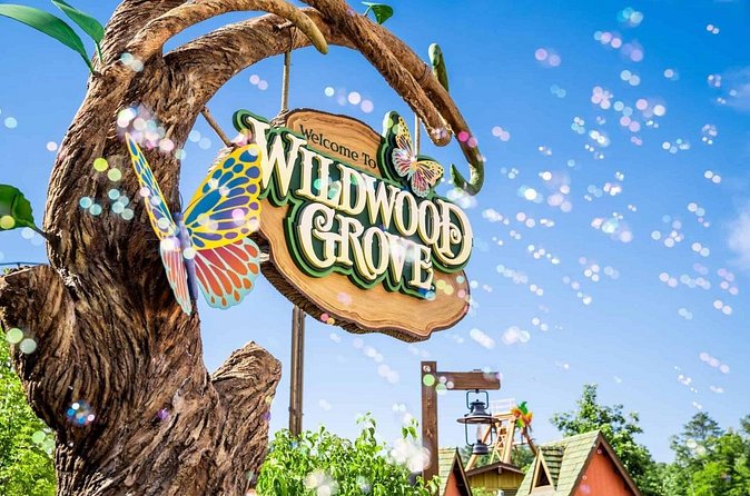 Dollywood Day Trip from Nashville - Managing the Full Day in Dollywood