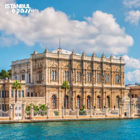 Dolmabahce Palace & Harem Skip-the-Line Entry & Audio Guide - The Gardens and External Views