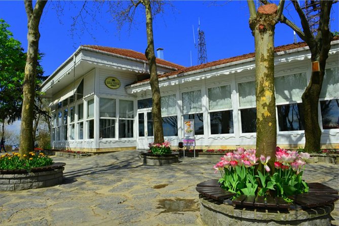 Dolmbahce Palace, Camlica Hill and Bosphorus Bridge tour - Who Should Consider This Tour