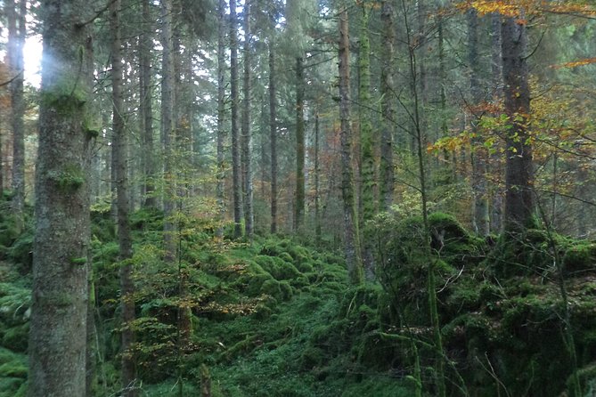 Dolomites Hiking tour - Practical Logistics and Meeting Details