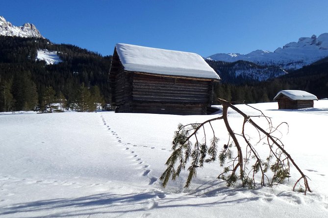 Dolomites of Cortina Winter Hiking & Sledding Experience - Visiting the "Cinque Torri" and Other Iconic Dolomite Spots