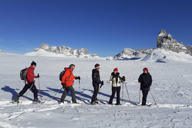 Dolomites Snowshoes Experience - Meeting Point and Tour Schedule