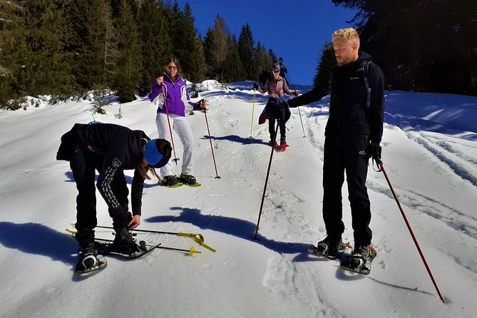 Dolomites Snowshoes Experience - The Guide’s Role and Safety Measures