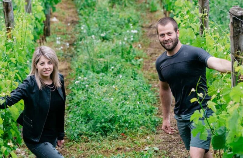 Dolomites Winery Tour and Wine Tasting near Belluno - Final Thoughts on the Dolomites Winery Tour