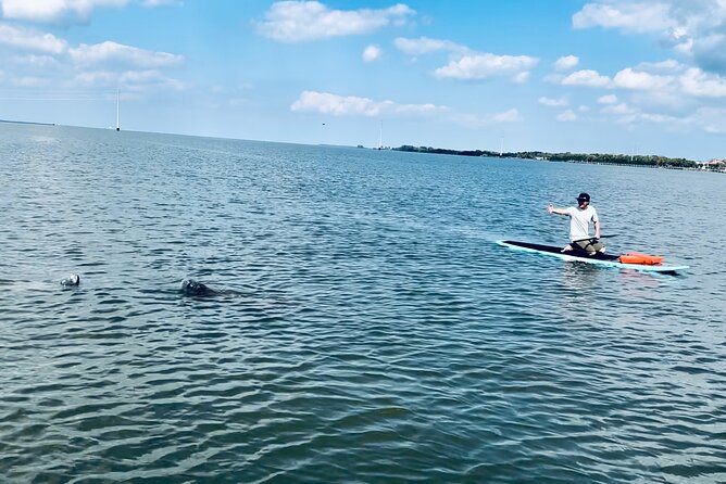 Dolphin and Manatee Adventure Tour of Merritt Island - Starting Point and Group Size