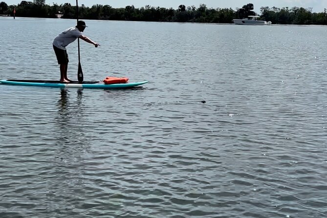 Dolphin and Manatee Adventure Tour of Merritt Island - Logistics and Booking Details