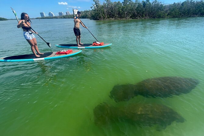 Dolphin and Manatee Adventure Tour of Naples with Florida History - Key Points