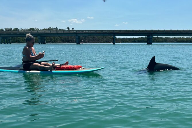 Dolphin and Manatee Adventure Tour of Naples with Florida History - Guided Wildlife Spotting and Local Facts