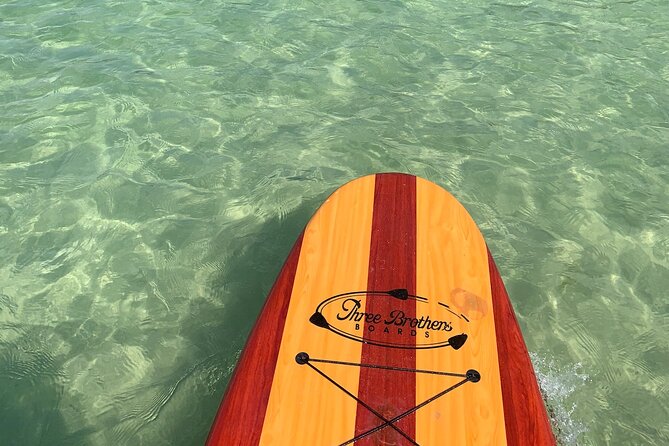 Dolphin and Manatee Adventure Tour of Naples with Florida History - Equipment and Safety Measures Provided