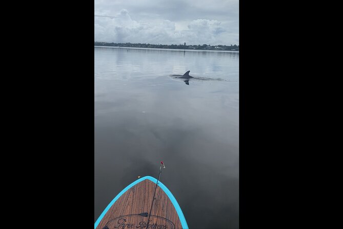 Dolphin and Manatee Adventure Tour of Naples with Florida History - Personalities of the Guides and Tour Atmosphere