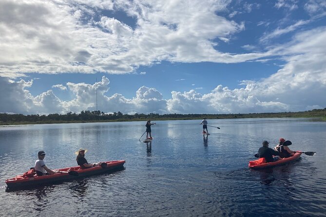 Dolphin and Manatee Adventure tour of Osprey with Florida History - Meeting Point and Equipment Convenience in Osprey