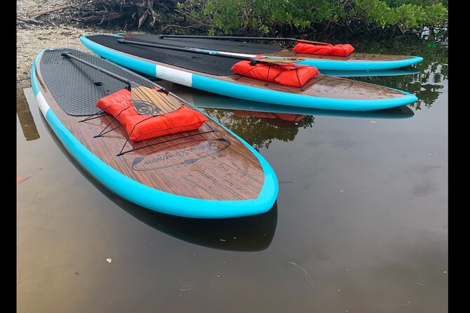 Dolphin and Manatee Adventure tour of Osprey with Florida History - Wildlife Sightings: Dolphins, Manatees, and More