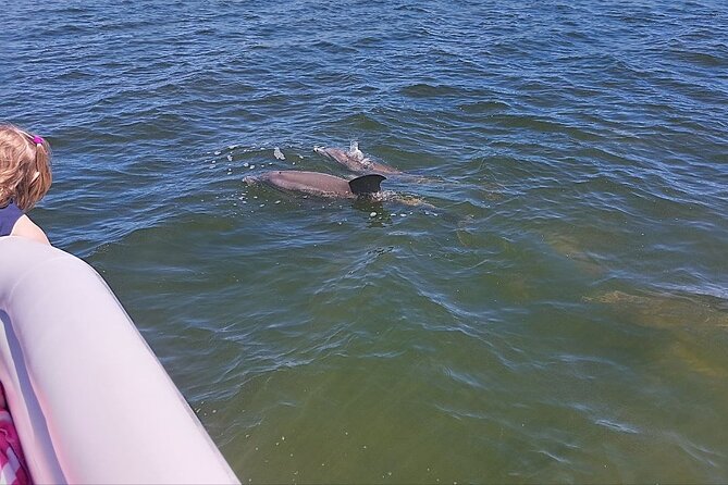 Dolphin and Manatee Boat Tour from Cocoa Beach and Port Canaveral - Practical Details and Group Size