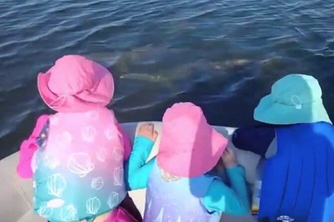 Dolphin and Manatee Boat Tour from Cocoa Beach and Port Canaveral - Flexibility and Weather Considerations