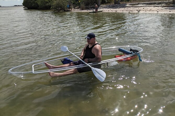 Dolphin and Manatee Clear Kayak or Paddleboard Tour - Sunset Paddleboarding with LED Lighting for Nighttime Wildlife Viewing