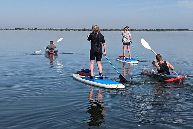 Dolphin and Manatee Clear Kayak or Paddleboard Tour - Why Choose This Tour Over Others in Cocoa Beach