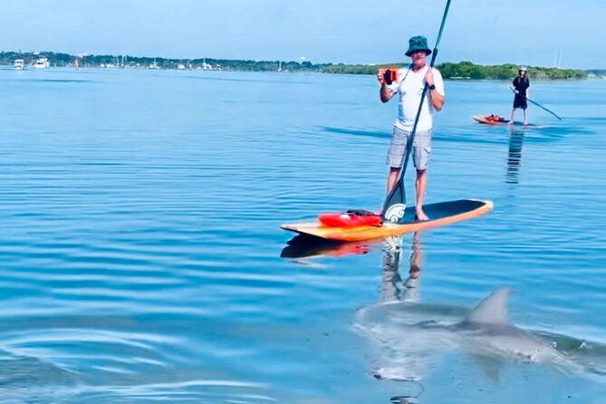 Dolphin and Manatee Kayak and SUP Adventure Tour of Cocoa Beach - Exploring the Banana River Manatee Refuge