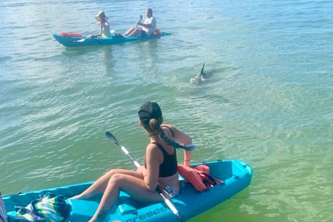 Dolphin and Manatee Kayak Tour of Daytona Beach - Exciting Wildlife Encounters on a Small-Group Kayak Tour in Daytona Beach