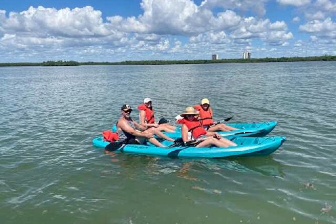Dolphin and Manatee Kayak Tour of Daytona Beach - Key Points