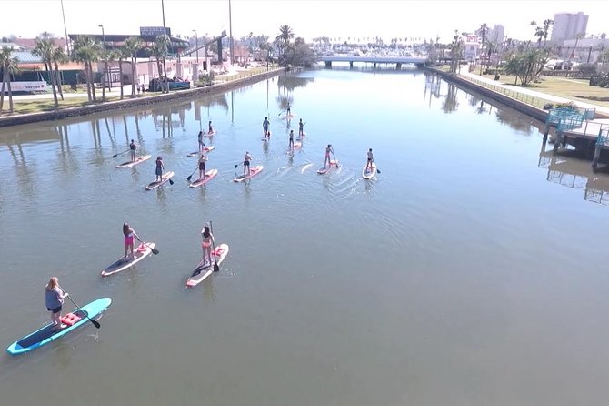 Dolphin and Manatee Stand Up Paddleboard Tour in Daytona Beach - Paddleboard Lessons and Equipment: Perfect for Beginners