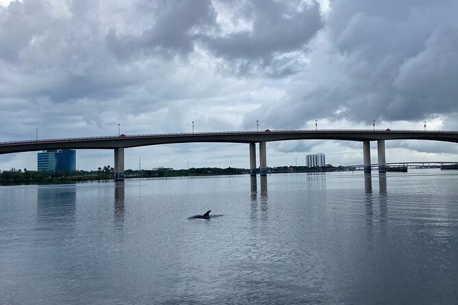 Dolphin and Manatee Stand Up Paddleboard Tour in Daytona Beach - The Route: From Bridges to Shallow Canals