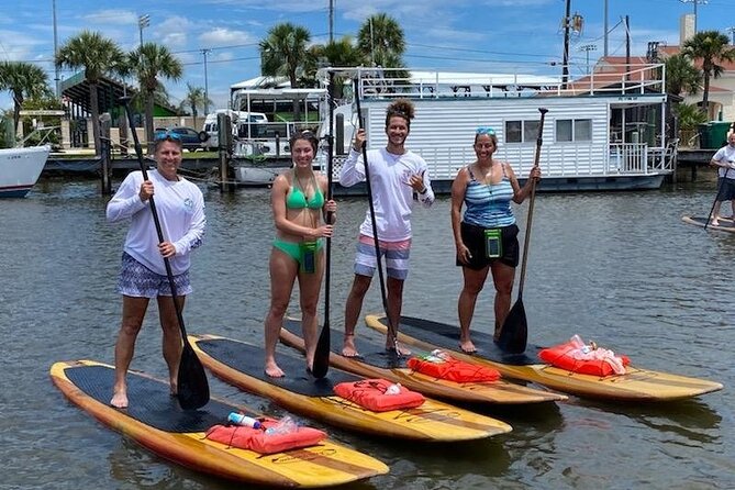 Dolphin and Manatee Stand Up Paddleboard Tour in Daytona Beach - Wildlife Sightings: Expectations and Realities