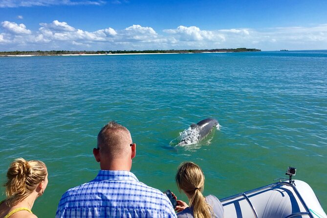 Dolphin and Shelling Cruise for up to 12 people - Visiting an Isolated Barrier Island for Shelling