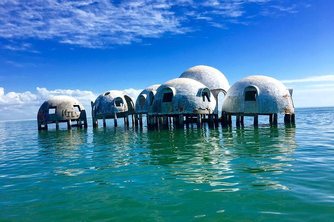 Dolphin and Shelling Cruise for up to 12 people - Timing and Options for Tour Start