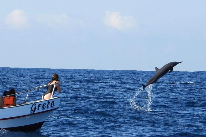Dolphin and Whale Watching Boat Trip in Puerto Escondido - Discover Marine Wildlife on a Puerto Escondido Boat Trip for $42.46