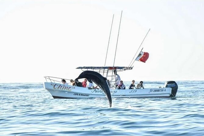 Dolphin and Whale Watching Boat Trip in Puerto Escondido - Logistical Convenience with Pickup and Mobile Ticketing