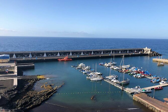 Dolphin and Whale Watching in La Restinga - Safety and Equipment: Comfort on the Atlantic