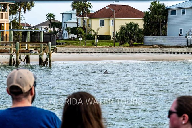 Dolphin and Wildlife Adventure of St. Augustine - Suitable for Families and Accessibility